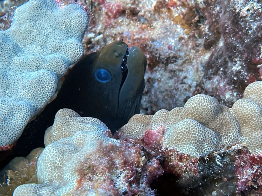 Oahu Night Dive: Adventure for Certified Divers - On the charter boat: comfort details that actually help at night