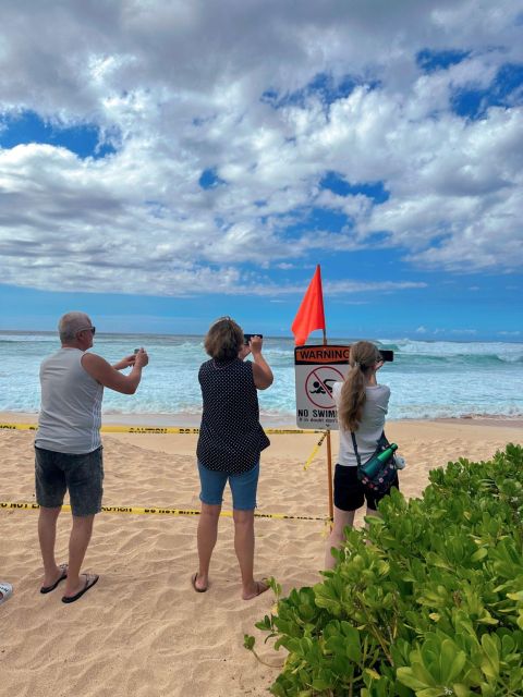 Oahu: North Shore Circle Island Small-Group Tour - Circle Island Without the Rental-Car Stress