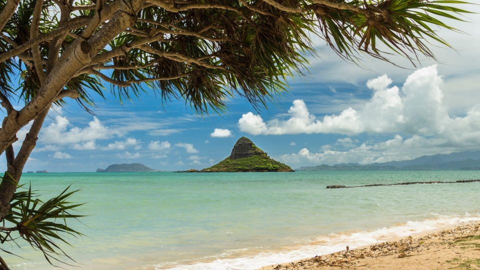 Oahu: North Shore Circle Island Small-Group Tour - Windward Viewpoints and the Makapuʻu Coast (Plus a Quick Detour Past Wildlife Spots)