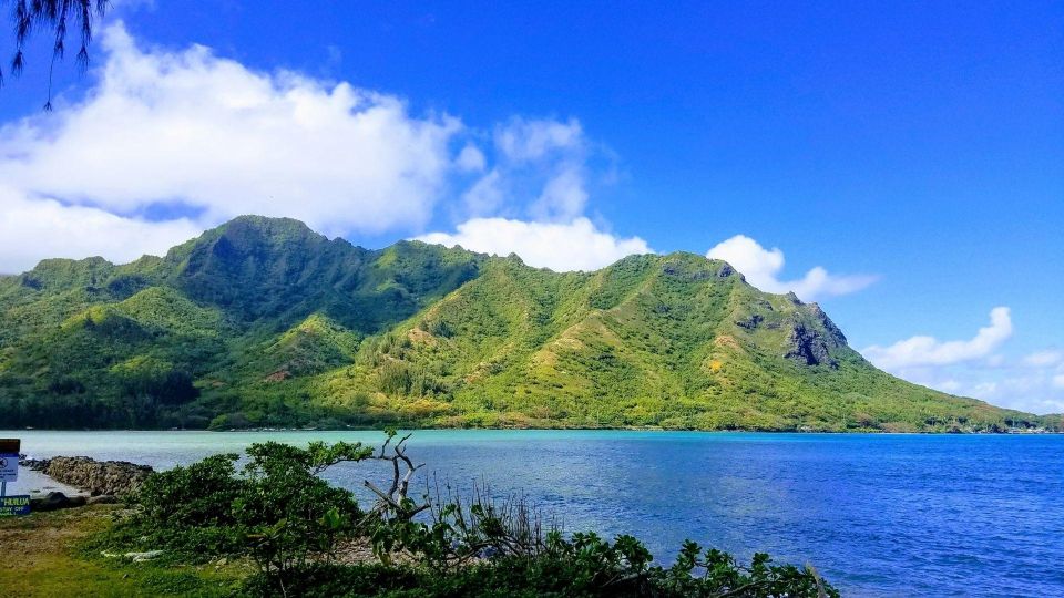Oahu: North Shore Circle Island Small-Group Tour - North Shore Food Trucks and Break Time at Kahuku