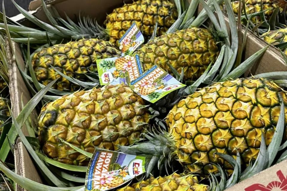 Oahu: North Shore Dole Pineapple Farm Tour - Key Points at a Glance