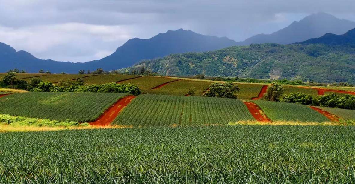 Oahu: North Shore Dole Pineapple Farm Tour - From Waikiki to Wahiawa: Why This 7-Hour Route Works