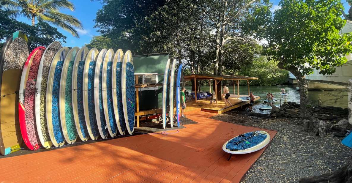 Oahu: North Shore Haleiwa Paddleboard River Adventure - How to Spot Honu and Birds Without Stressing