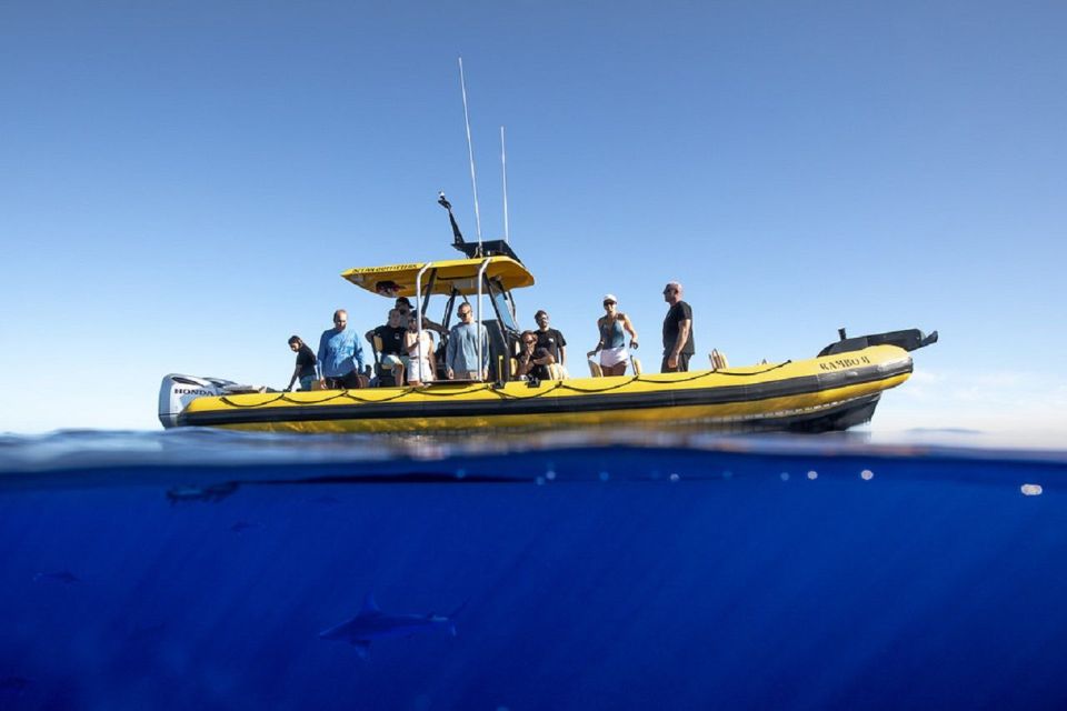 Oahu: North Shore Marine Life Tour from Haleiwa - Key takeaways before you go