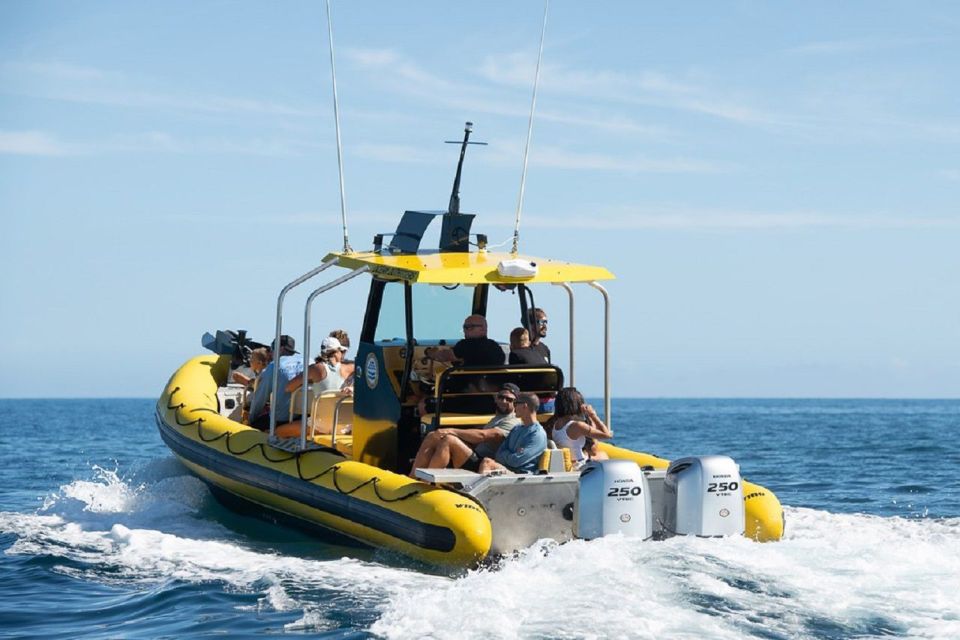 Oahu: North Shore Marine Life Tour from Haleiwa - Ninety minutes of Ka’ena coastline: the vibe and what makes it special