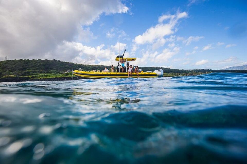 Oahu: North Shore Marine Life Tour from Haleiwa - Price and value: what $99 gets you (and what to expect)