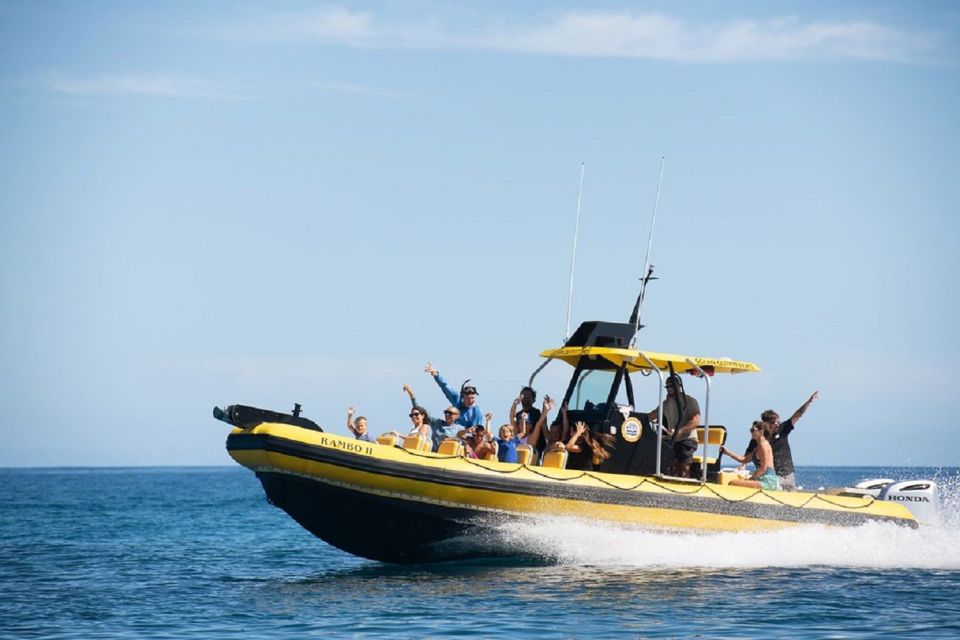 Oahu: North Shore Marine Life Tour from Haleiwa - Onboard setup: 18 seats, real guidance, and the crew factor