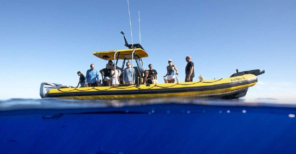 Oahu: North Shore Marine Life Tour from Haleiwa - Who this North Shore marine life tour is best for
