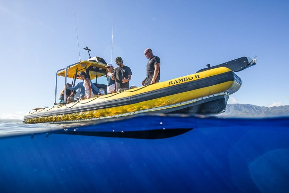 Oahu: North Shore Snorkeling Tour from Haleiwa - Key highlights at a glance