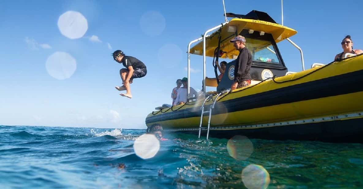 Oahu: North Shore Snorkeling Tour from Haleiwa - Entering the harbor: getting to Slip 19 (without drama)