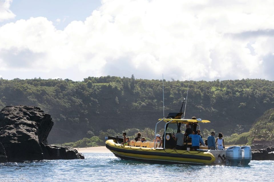 Oahu: North Shore Snorkeling Tour from Haleiwa - Price check: does $110 buy real value?