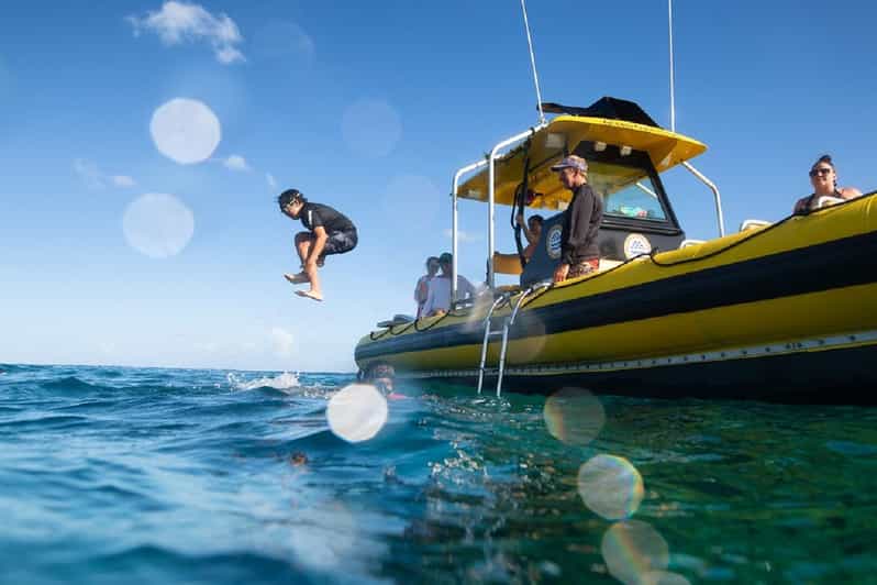 Oahu: North Shore Snorkeling Tour from Haleiwa - Practical tips so your snorkel goes smoothly