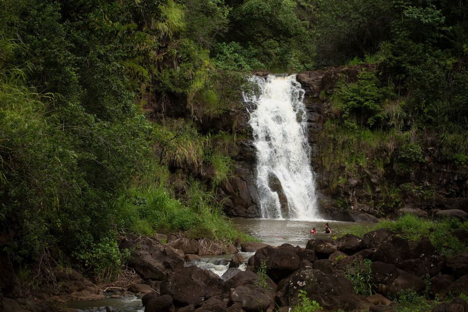 Oahu: North Shore Waterfall Swim - Waimea Valley: The 1-Mile Rainforest Walk That Sets the Tone