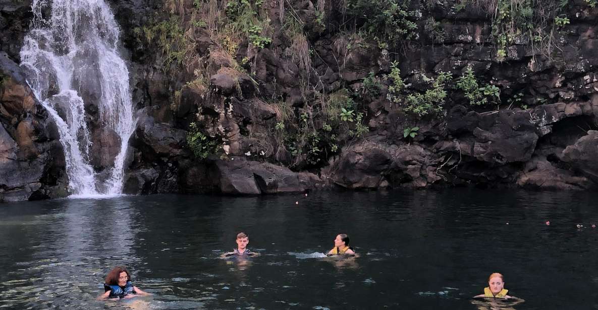 Oahu: North Shore Waterfall Swim - Turtle Spotting on the Beach: A Nature Moment With Real Etiquette