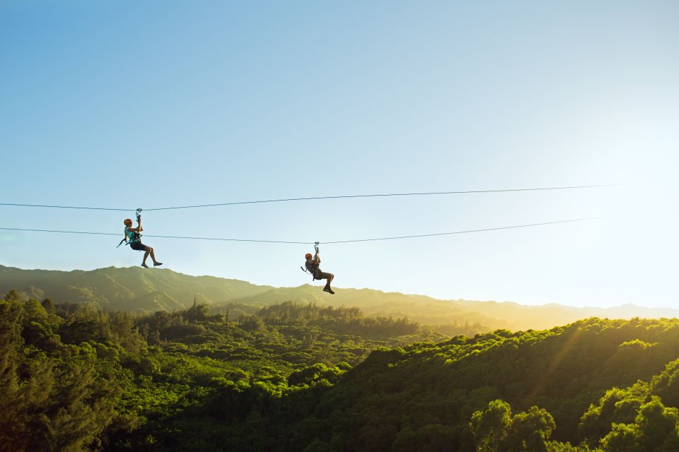 Oahu: North Shore Zip Line Adventure with ATV and Farm Tour - The zip line course: 8 dual runs with pauses for sky bridges and more