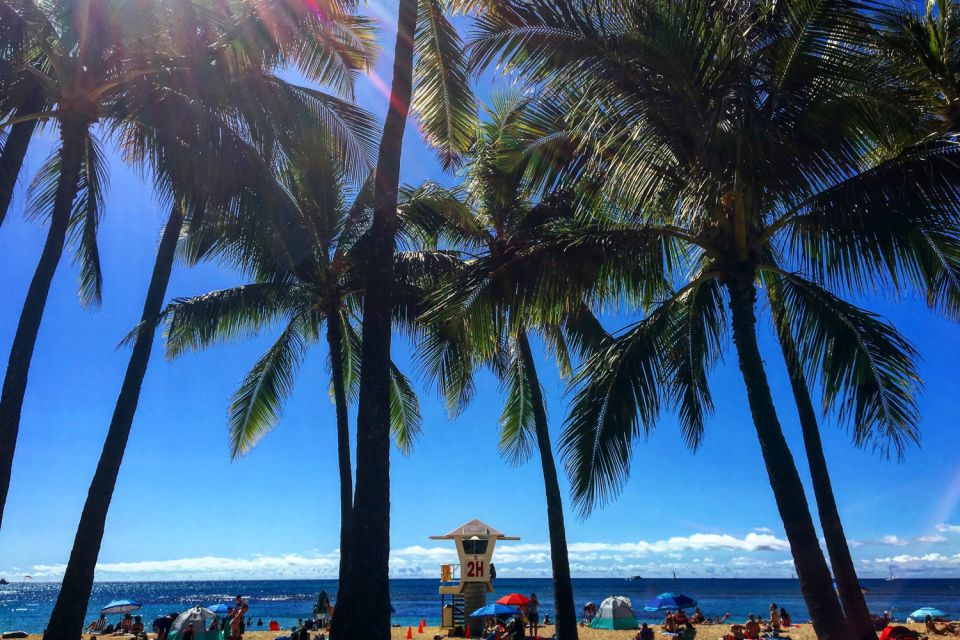 Oahu: Pearl Harbor and Honolulu City Tour - Key Points You Should Know Before You Go