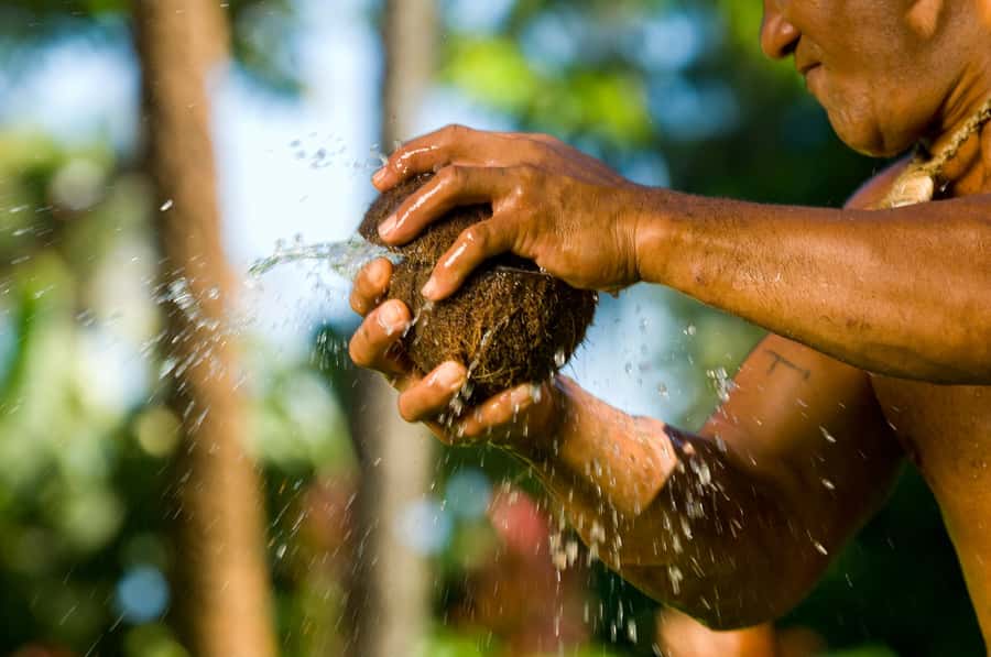 Oahu: Polynesian Cultural Center Island Villages Ticket - Fiji Village: coconut oil making, a chief’s home, and dance energy