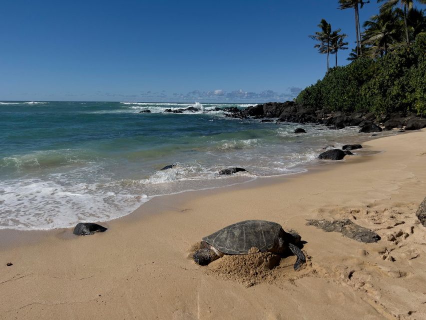 Oahu: Private Best of Oahu Sightseeing Tour - Key Things That Make This Oahu Tour Work