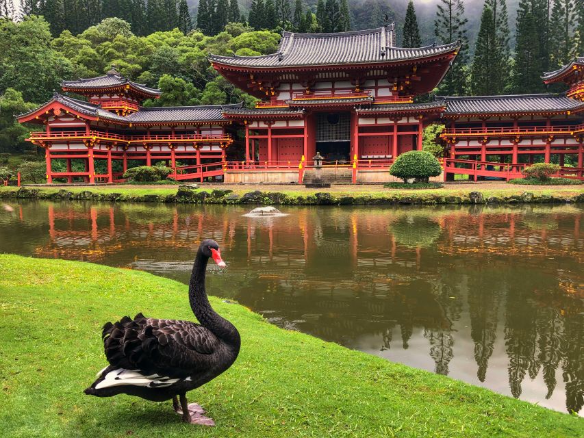 Oahu: Private Best of Oahu Sightseeing Tour - Price and Value: What $600 Gets You (and When It’s Smart)