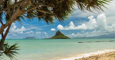 Oahu: Private Custom Island Tour - Price and value: $687 for up to 3, with the day’s workload handled for you