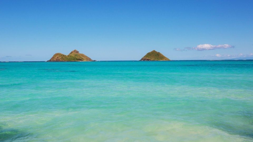 Oahu: Private Custom Island Tour - Turtle Beach Laniakea and the North Shore reality check: wildlife and surf