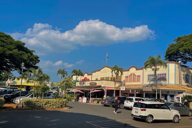 Oahu Private Tour North Shore, Waimea Falls and Dole Plantation - Dole Plantation: Pineapple Express, Dole Whip, and the Maze in 30 Minutes