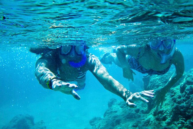 Oahu Private Tour North Shore, Waimea Falls and Dole Plantation - Waimea Falls: The One Paid Stop, With Time to Actually Walk