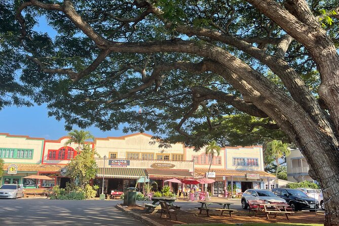 Oahu Private Tour North Shore, Waimea Falls and Dole Plantation - Sunset Beach and North Shore Surf Stops: Big Views, Short Visits