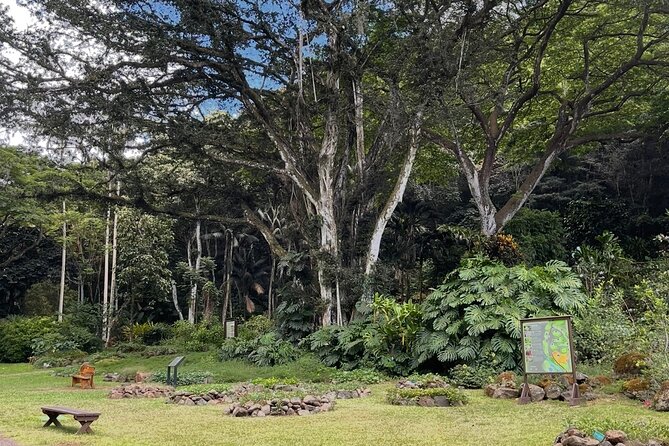 Oahu Private Tour North Shore, Waimea Falls and Dole Plantation - North Shore Macadamia Nut Company: Treat Yourself Like It’s a Mini Lesson