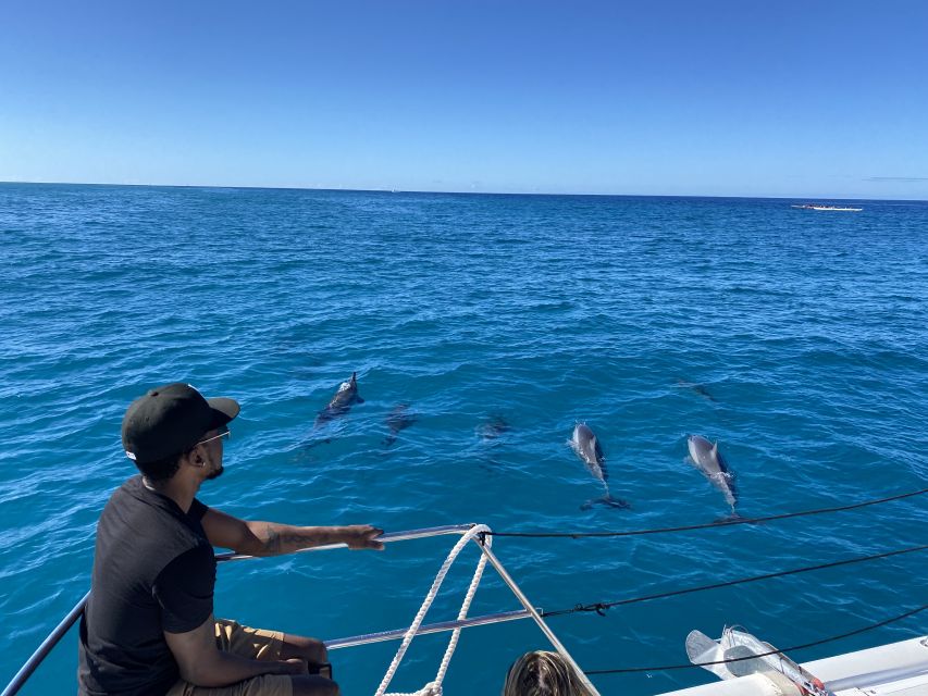 Oahu: Private Turtle Snorkeling with Customizable Itinerary - Wildlife viewing beyond turtles: dolphins, monk seals, whales