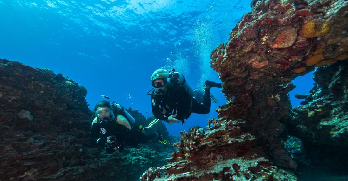 Oahu: Shallow Reef Scuba Dive for Certified Divers - Two Reef Stops Off Ala Moana: What makes this outing special