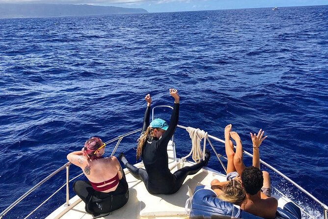 Oahu Shark Dive Educational Tour (No cage) - The pro photo option: how to get something you’ll actually want
