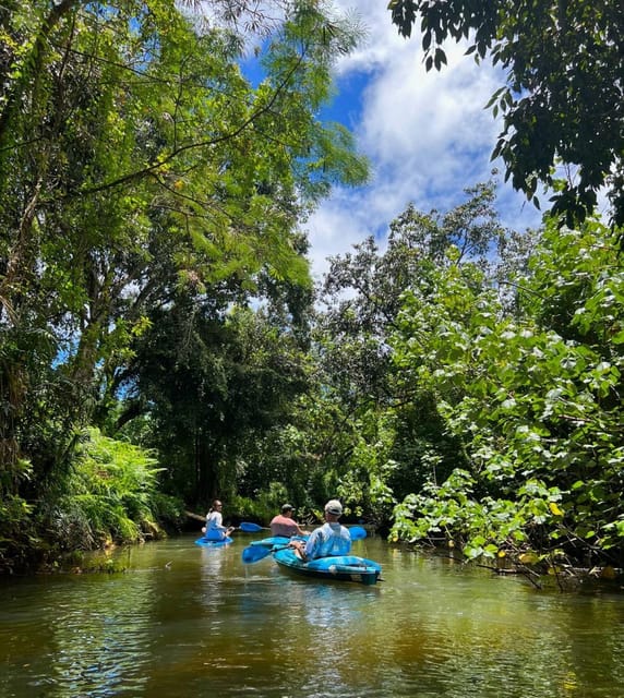 Oahu: Single & Double Kayak 3-Hour River Rental - Single Kayak vs Double Kayak: Choose Your Comfort Level