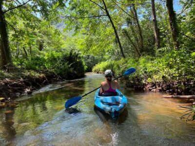 Oahu: Single & Double Kayak 3-Hour River Rental - Getting Started at the Water: Meeting Point Tips That Save Time
