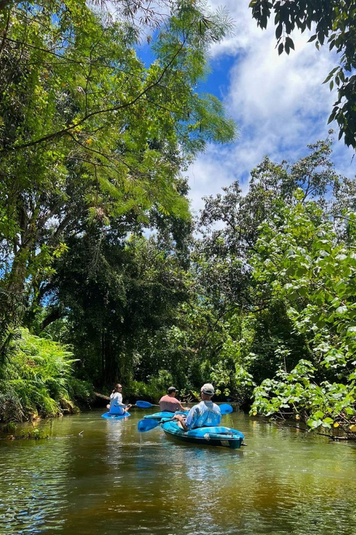 Oahu: Single & Double Kayak 3-Hour River Rental - Who This Kayak Rental Suits Best (And Who Should Skip It)