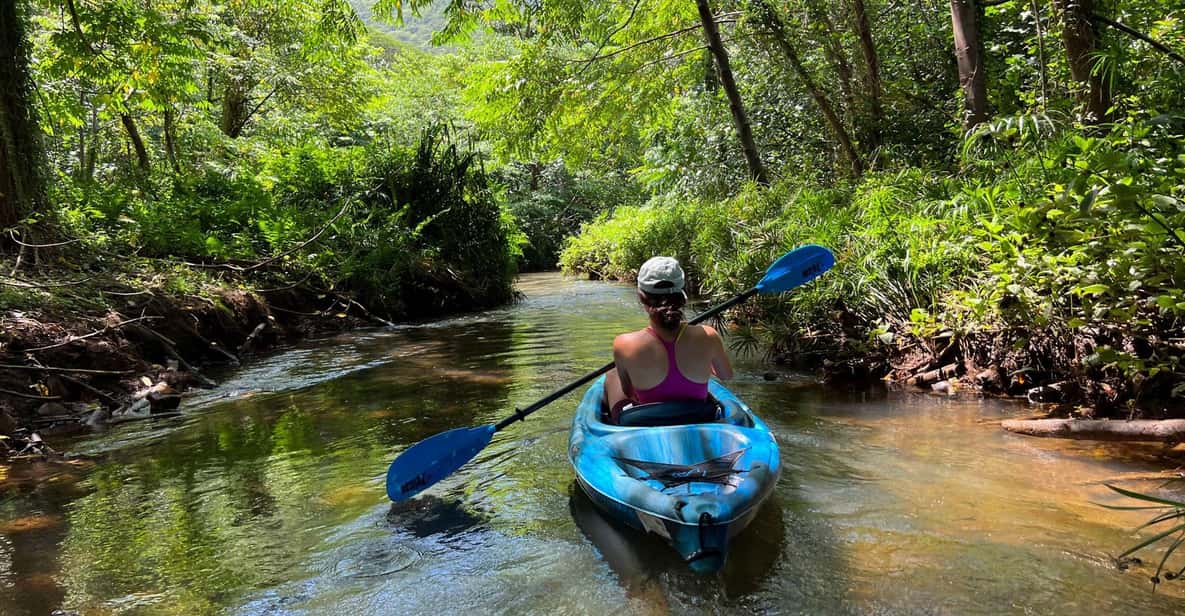Oahu: Single & Double Kayak 3-Hour River Rental - Price and Value: Is $75 Per Person Worth It?
