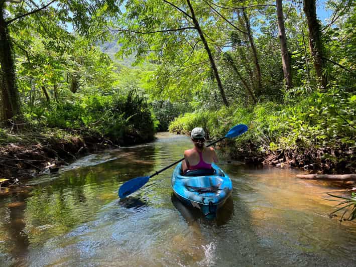 Oahu: Single & Double Kayak 3-Hour River Rental - Getting Started at the Water: Meeting Point Tips That Save Time