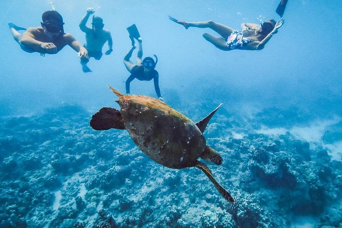Oahu Small Group Snorkel Tour with Yacht Cruise - Price and value: what you’re actually paying for