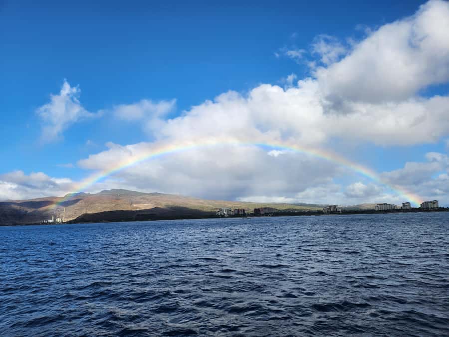 Oahu: Snorkeling & Dolphin Watch Cruise with Hawaiian Buffet - Key Highlights You’ll Care About