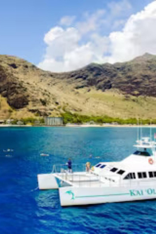 Oahu: Snorkeling & Dolphin Watch Cruise with Hawaiian Buffet - Practical Tips Before You Go