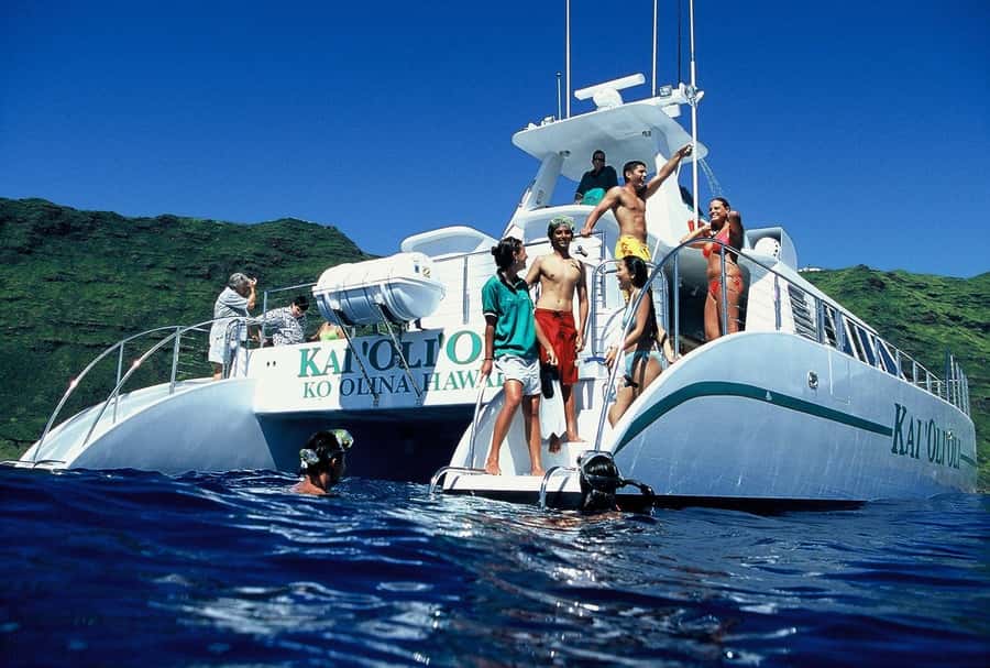 Oahu: Snorkeling & Dolphin Watch Cruise with Hawaiian Buffet - Snorkeling with Turtles: Guided Time in Clear Water