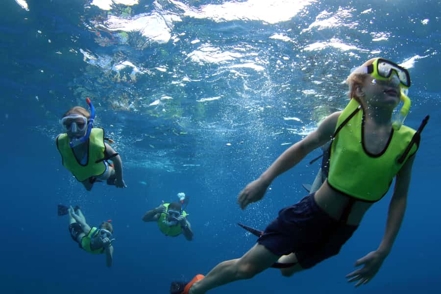 Oahu: Snorkeling & Dolphin Watch Cruise with Hawaiian Buffet - Dolphins and Whales on the Water: What’s Included and What’s Guaranteed