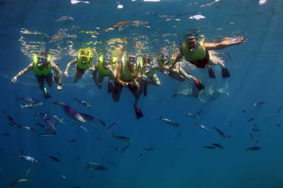 Oahu: Snorkeling & Dolphin Watch Cruise with Hawaiian Buffet - Price and Value: Is $182 Worth It?