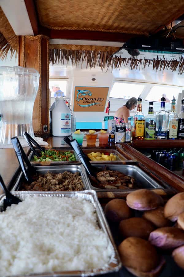 Oahu: Snorkeling & Dolphin Watch Cruise with Hawaiian Buffet - Who This Tour Suits (and Who Might Skip It)