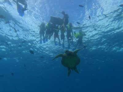Oahu Snorkeling with Turtles, Water Scooter, Paddleboard - Waikiki pickup and the 2-hour rhythm: what the schedule feels like