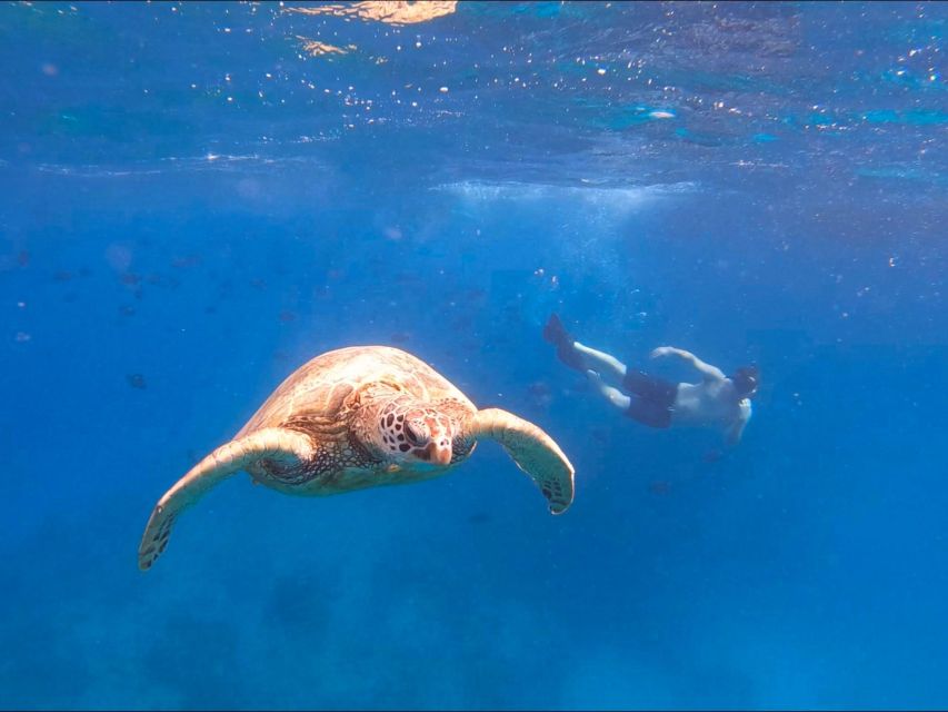 Oahu Snorkeling with Turtles, Water Scooter, Paddleboard - Electric water scooter: the fun piece, and why it can affect snorkeling time
