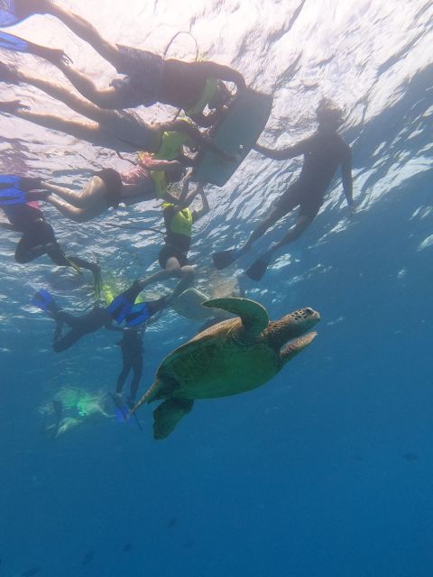 Oahu Snorkeling with Turtles, Water Scooter, Paddleboard - The onboard and post-snorkel food: musubi, noodles, and warm comfort