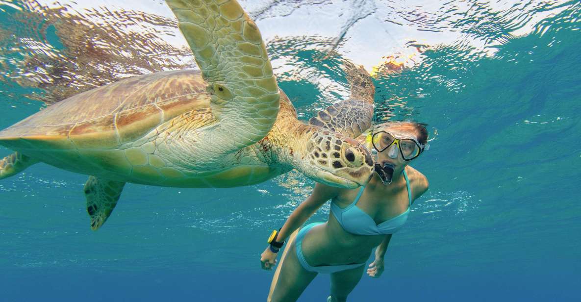 Oahu Snorkeling with Turtles, Water Scooter, Paddleboard - Price and value: is $120 for 2 hours a fair deal?