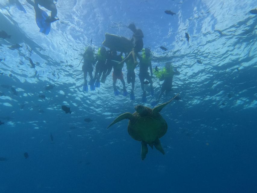 Oahu Snorkeling with Turtles, Water Scooter, Paddleboard - Waikiki pickup and the 2-hour rhythm: what the schedule feels like