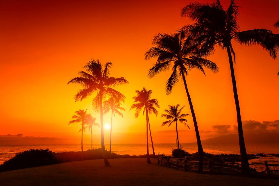 Oahu: Sunset Cruise of West Oahu with Drinks and Appetizers - Why West Oahu’s Sunset Sail Feels More Relaxing Than Dinner